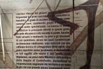 L.P.S. Bozen - Val di Non Museo Retico