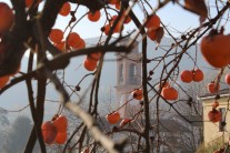 La campana chiama - Luvigliano di Arianna Carraro