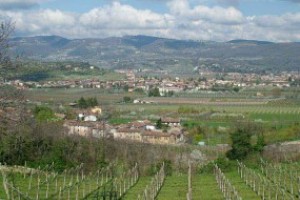 Valpolicella VR