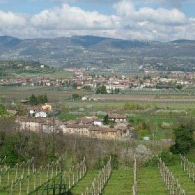 Valpolicella VR