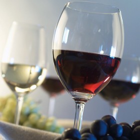 „Das kleine Weinseminar”